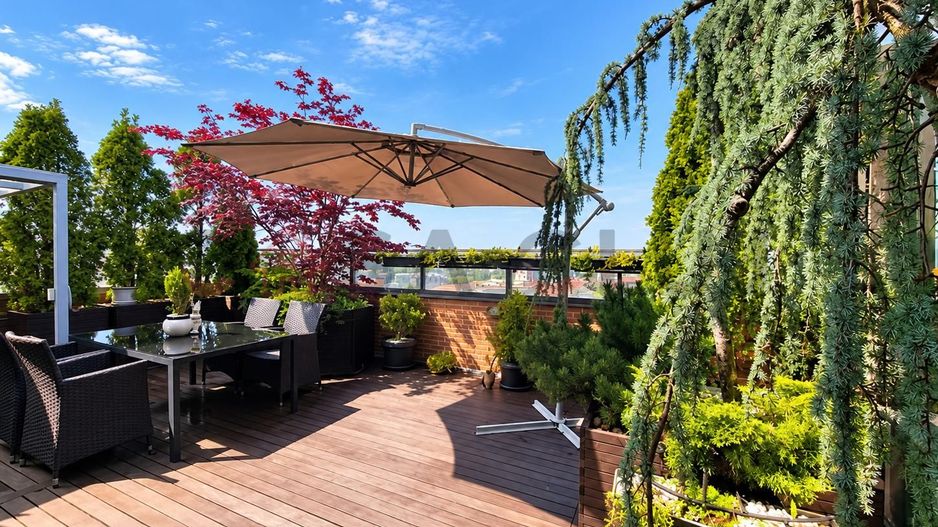 Penthouse la cheie, terasă panoramică, Buna Ziua - Poză 2