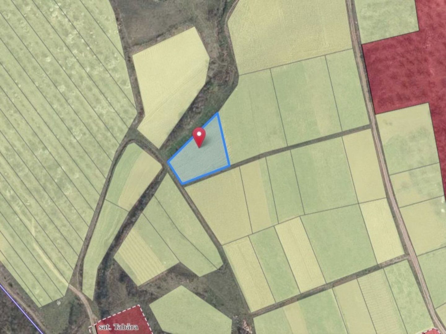 Tabăra/Orhei | 12.87 ari | Teren în inima Codrilor – Ideal pentru evadare în natură sau investiție - Poză 4