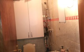 Apartament Plevnei / Orhideea - Poză 10