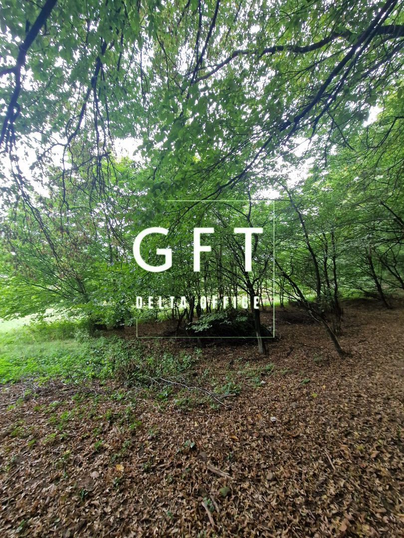 Teren Intravilan de vanzare Bistrita | 795 mp, priveliște panoramică - Poză 10