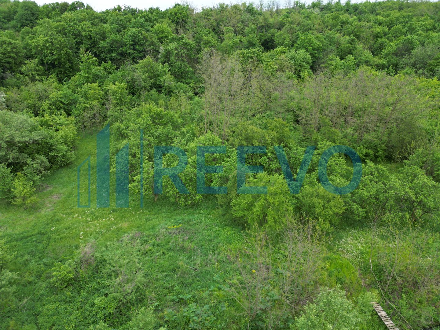 Casă de vânzare Buhuși, Str. Orbic - Poză 37