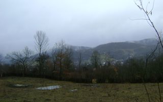 Teren de vanzare in Provita de jos - Poză 8