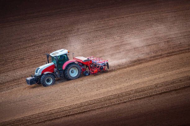 Ferma de Cultura Mare 1100 HA - Poză 4