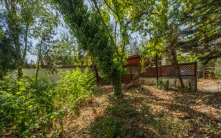 ULTRACENTRAL - Vilă UNICĂ și cu POTENȚIAL uriaș, o poveste de succes - Poză 30