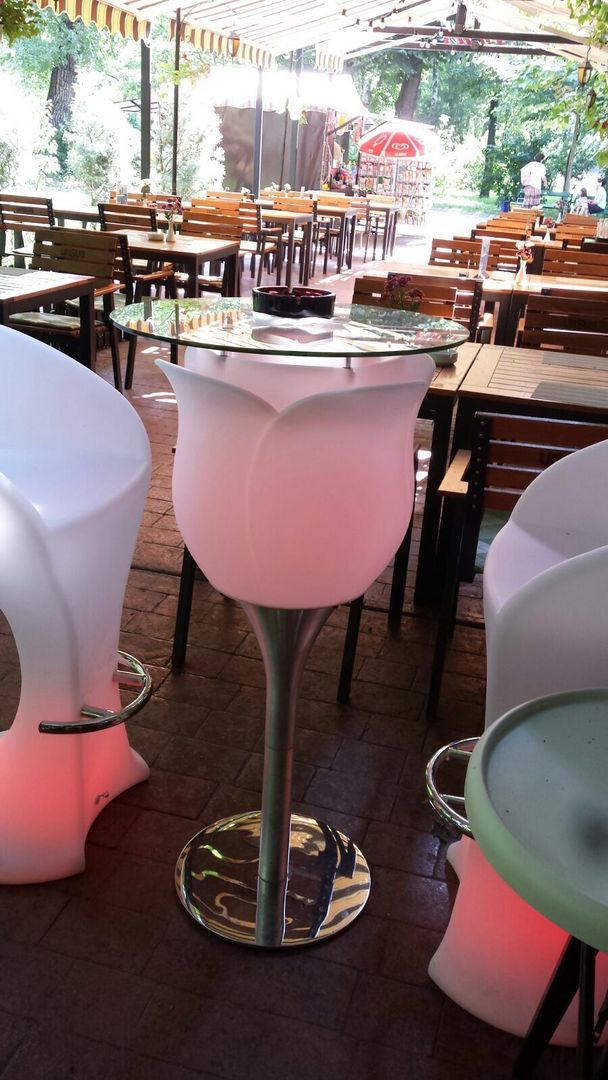 Restaurant de prestigiu cu 30 ani de traditie Parcul Carol - Poză 10