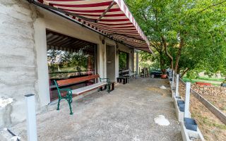 🇮🇹 Toscana de lângă Arad | Vilă cu 12.000 mp - Poză 10