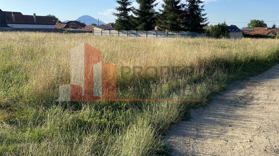 Teren 14400 mp la iesire din Rasnov inspre Pârâul Rece-Trei Brazi - Poză 12