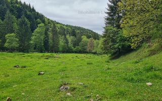 13005 mp teren faneata in Bran Simon cu fornt de 57 mp - Poză 10