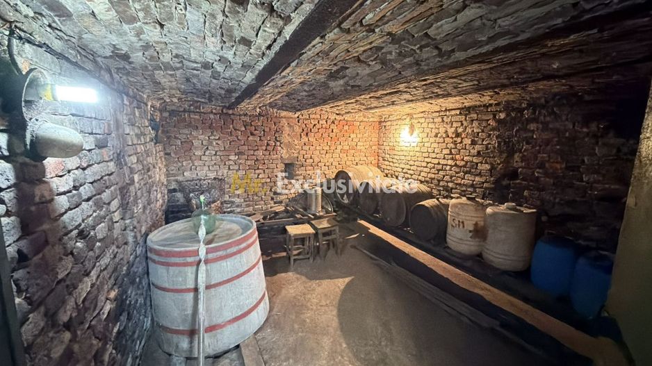 De vânzare 2 Case de vinificație cu Teren 4108 mp - Grădina Viilor - Carei - Poză 6