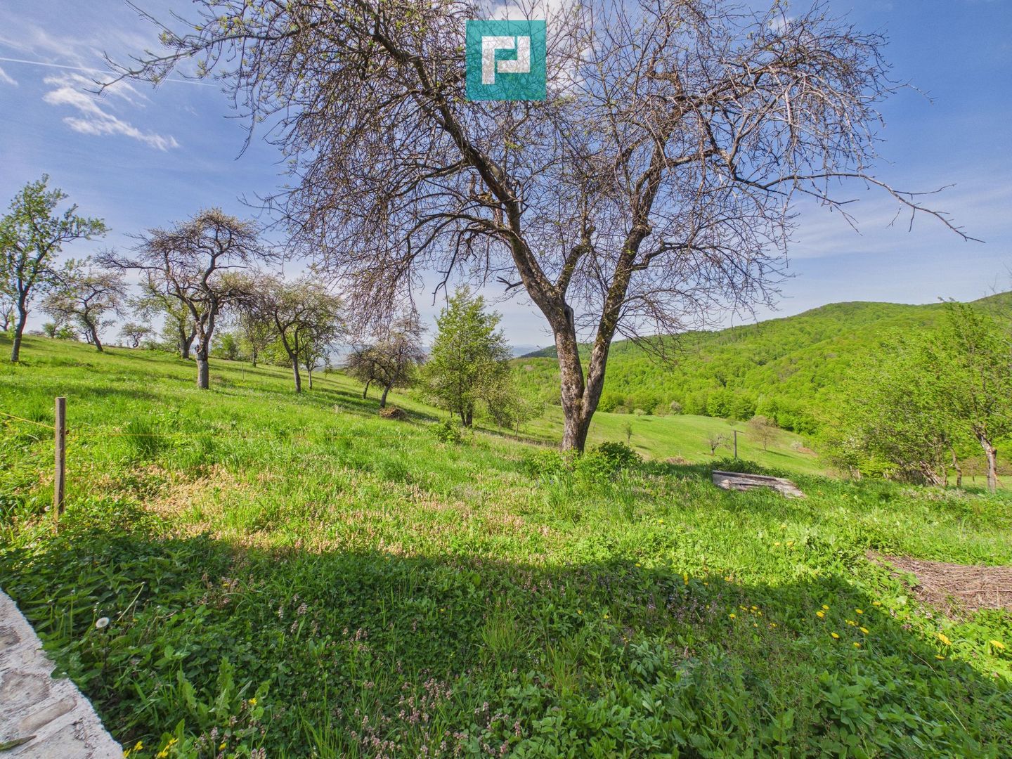 Casă pitorească de vacanță în Dulcele - Poză 7