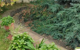 Casă/Vila + Teren 13 Ari de Vânzare |Lisaura/Suceava I 260.000Euro - Poză 27