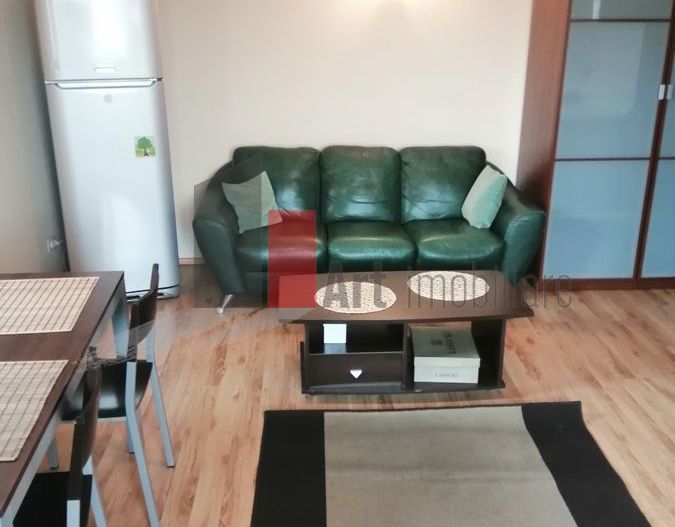 Garsoniera Unirii - Octavian Goga - Poză 7