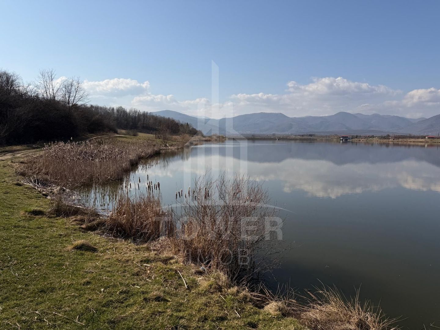 Teren EXTRAVILAN de vânzare în Săcel - Poză 4