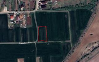 Intravilan pozitie excelenta - 15 minute de capitala - Poză 3