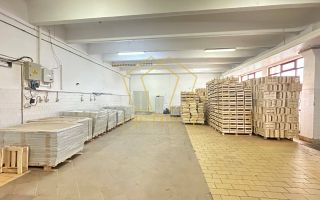 Hala industriala | Freidorf | Timisoara - Poză 2