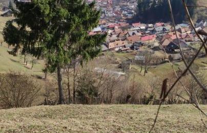 Teren 5000 mp, ideal cabana, pensiune,  in zona de interes  turistic  Rucar-Bran
