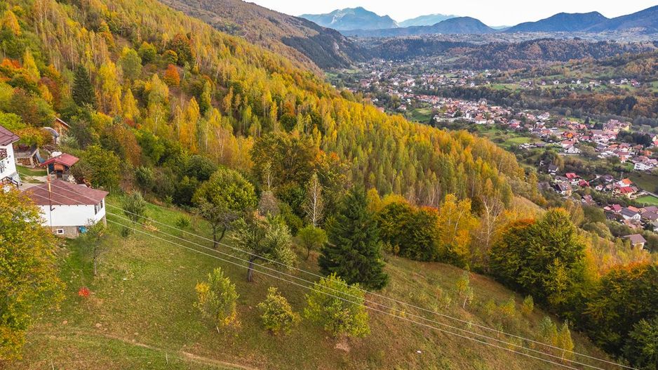 In arena Parcului Natural Piatra Craiului, Magura, Moieciu, Brasov - Poză 5