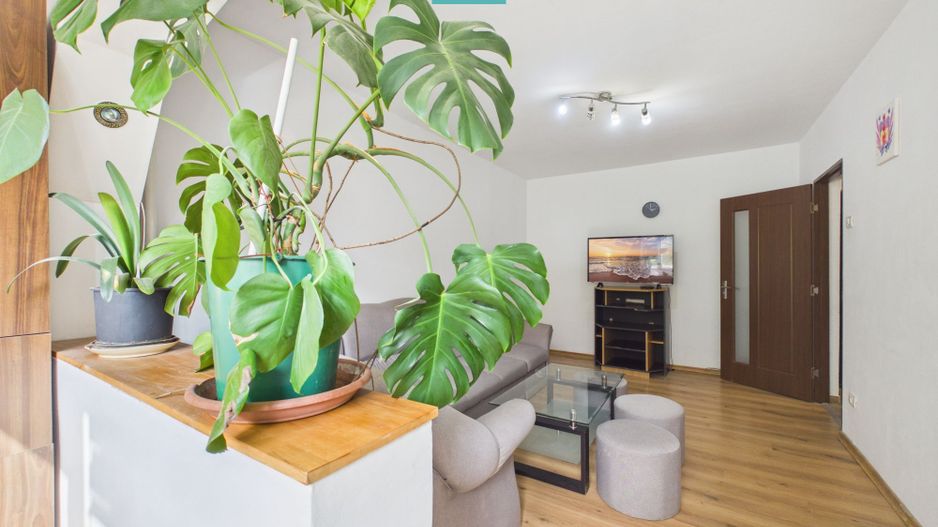 APARTAMENT 3 CAMERE, DECOMANDAT, ZONA VLAICU - Poză 2