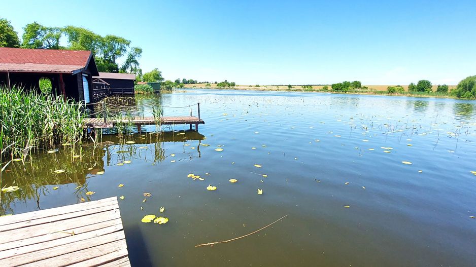 Teren Snagov - Ciofliceni cu deschidere la lac | Ponton si garaj barca - Poză 1