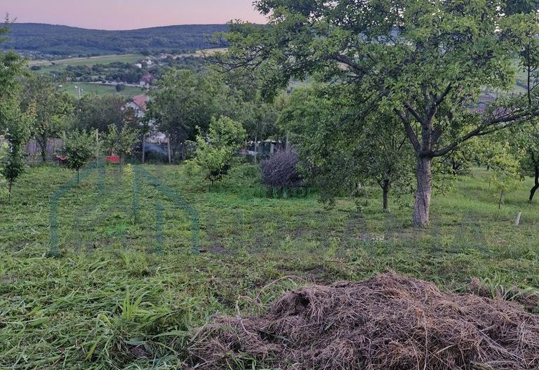 Teren intravilan de vanzare, Chicerea, 740 mp, strada Canarului, Tomesti - Poză 7