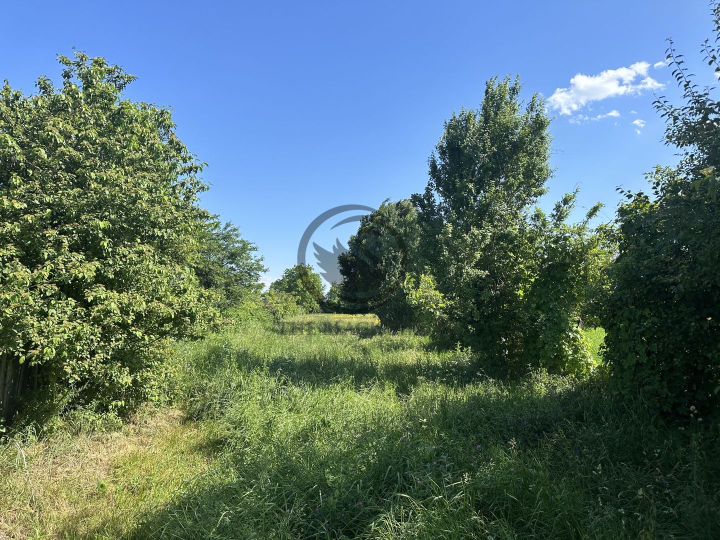 Teren intravilan de vanzare | 11.000 mp | Ghirdoveni | Comision 0% - Poză 5