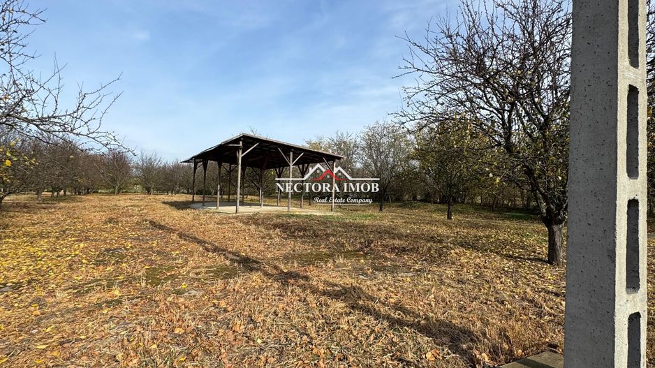 NECTORA IMOB-Teren cu livada matura+Anexa racordata la trifazic,9162mp - Poză 5