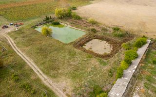 Teren intravilan cu iazuri și casă - Chișineu-Criș - Poză 6