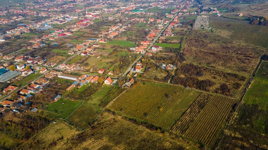 Teren viticol Șiria - Poză 7