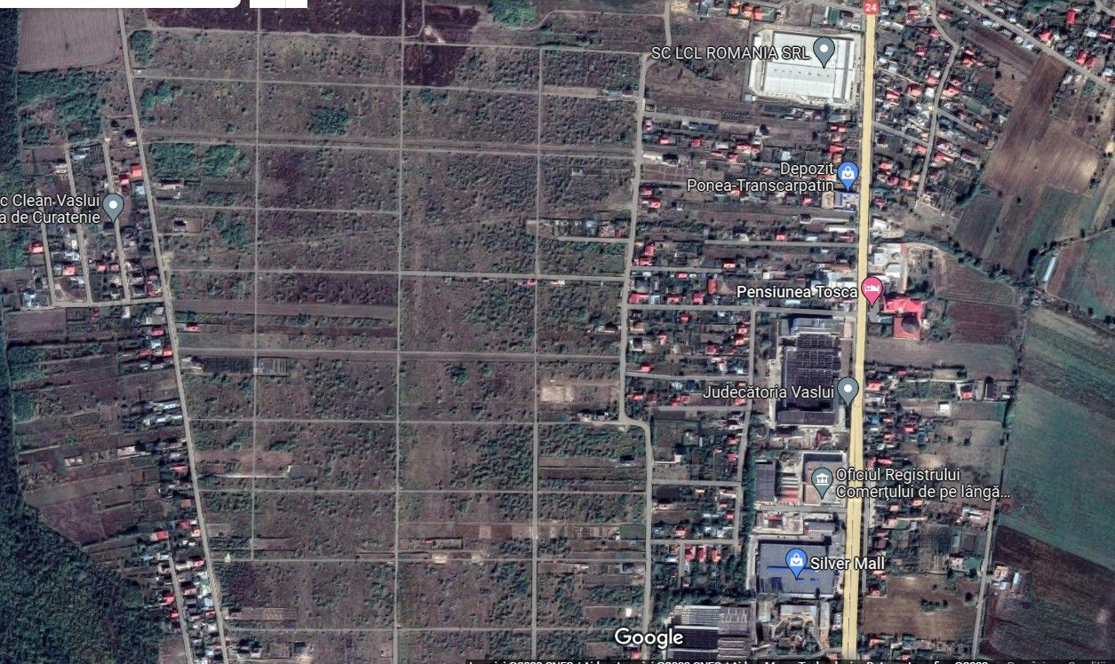 INVESTIȚIE - Teren extravilan 7000 mp, zona D. CANTEMIR - Ferma 3; - Poză 1