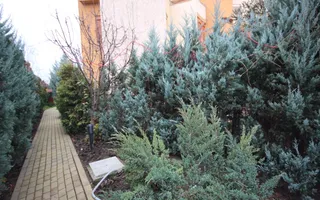 Casa pretabila birouri, camin de batrani - Poză 137