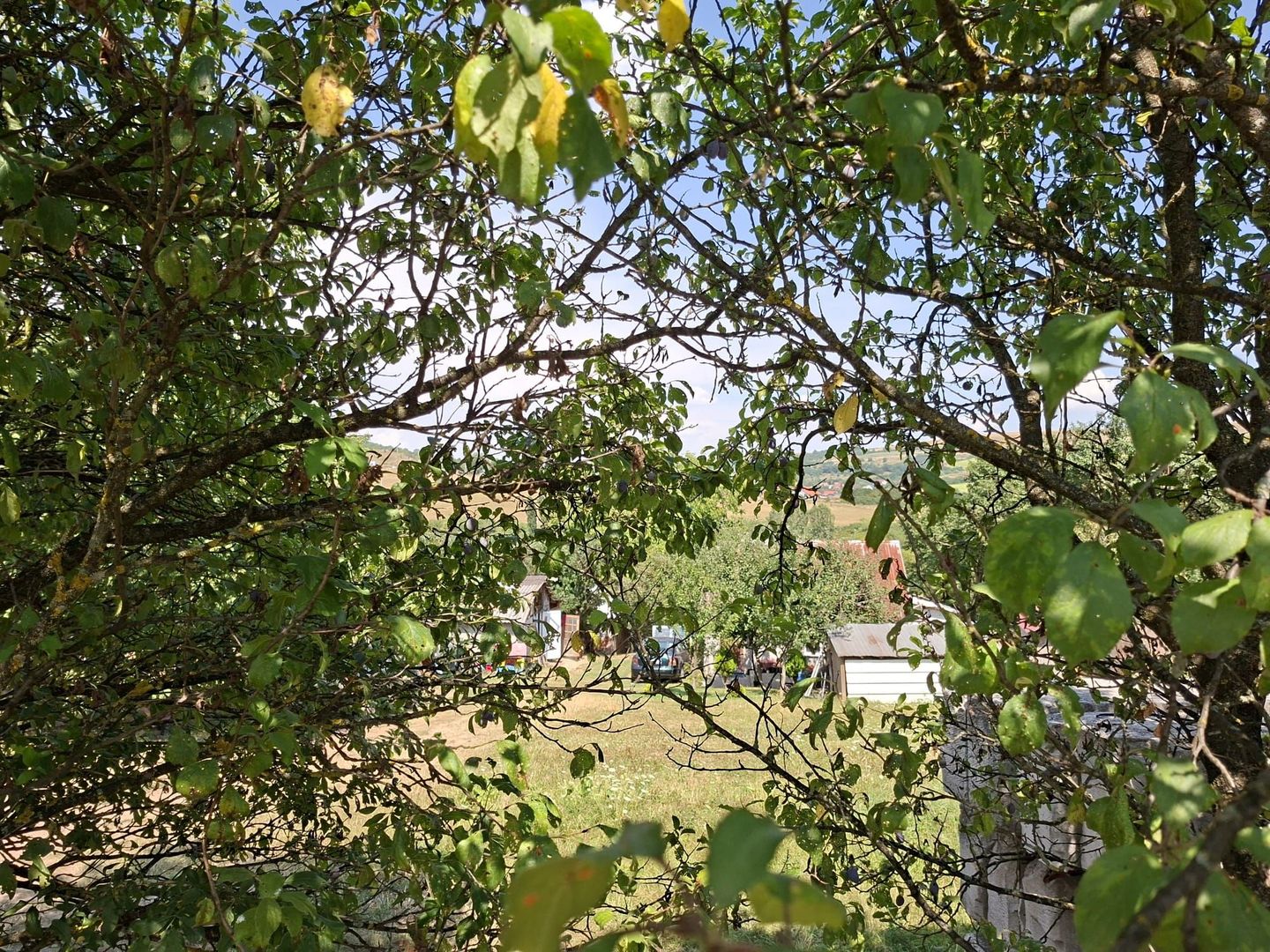 Teren de vanzare in Valcele - Poză 6