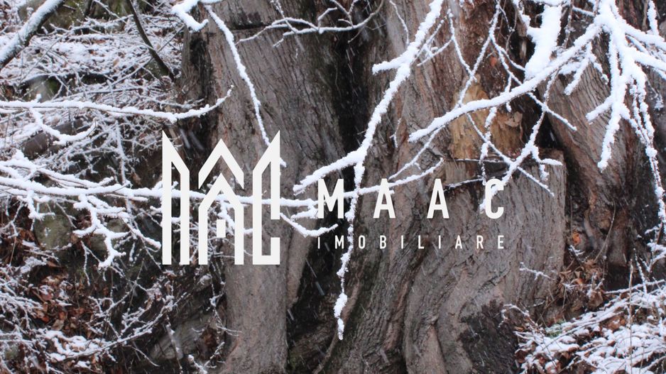 Teren cu izvor de apă minerală  Dangești, Punctul Valea Mare - Poză 27