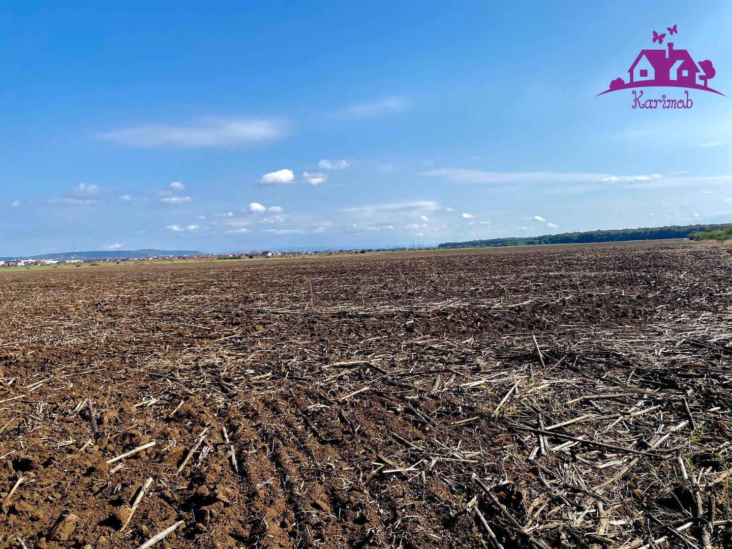 Teren pentru investitii zona Grigorescu - Poză 1