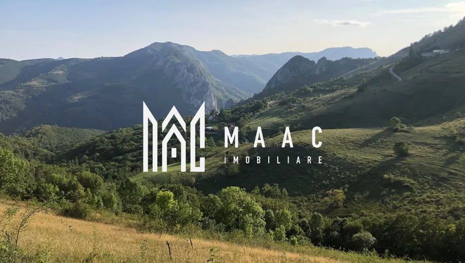 BLACK FRIDAY  I Teren cu potențial turistic I 3174 MP | TransApuseana - Poză 3