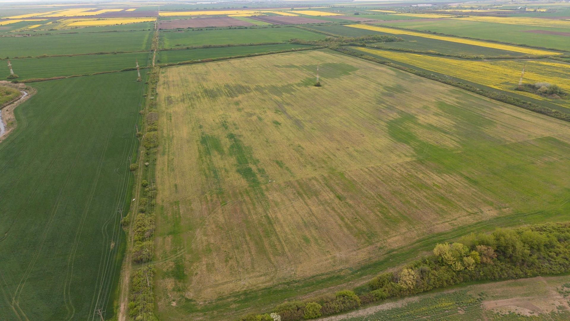 Teren investițional strategic 44.700 mp Arad Vest - Poză 2