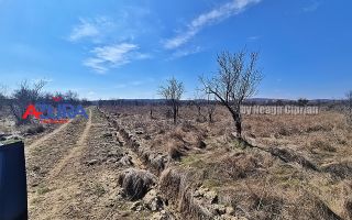 AZURA IMobiliare - Teren Iefin Bascov 3km de Giratoriu - Poză 4