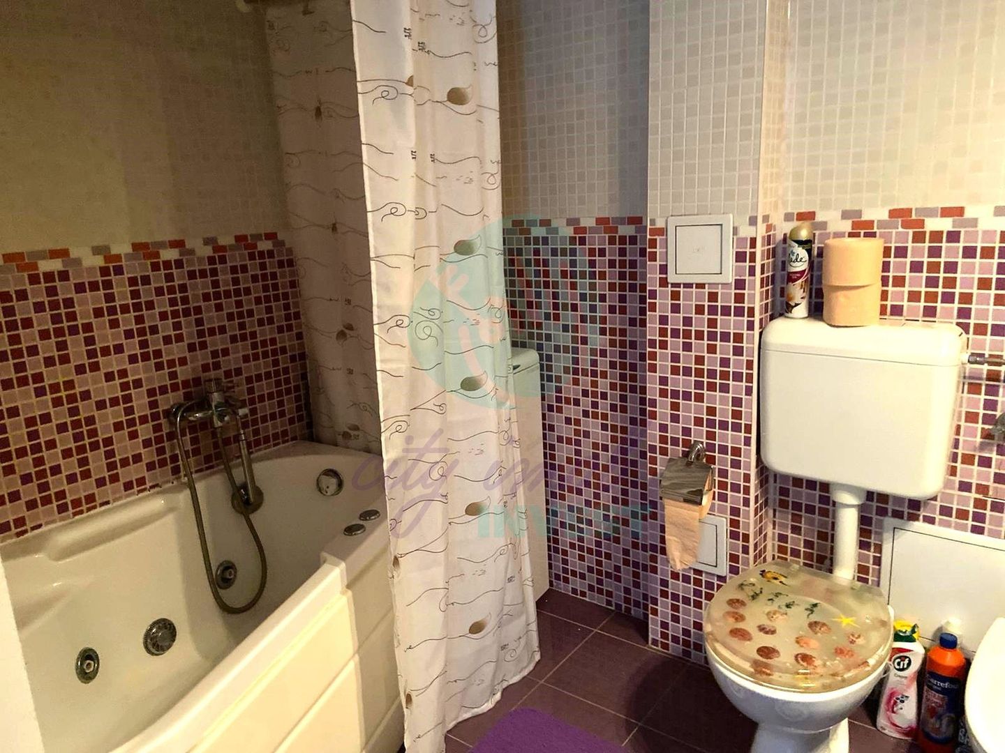 3 camere Bd. Unirii- Fantani- Oportunitate - Poză 3