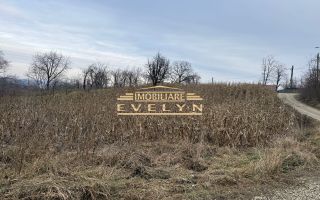 Teren intravilan de vânzare – Mănăstirea Doamnei - Poză 3