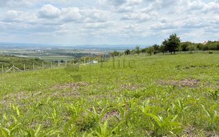 Teren 9461 mp cu panorama in Cartierul Podgoria din Oradea - Poză 3