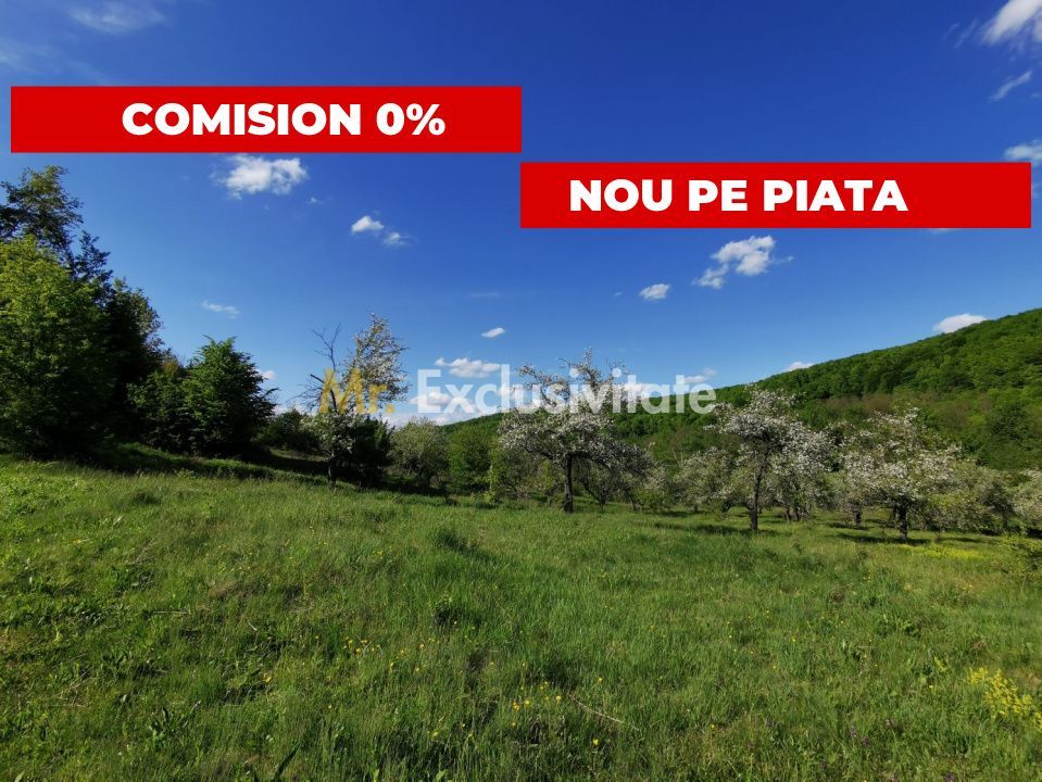 Teren 680mp Budeasa Mica, AG - Poză 1