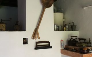 Casă individuală I Rustic I 100 mpu I Curte 2000 mp I Nemșa - Poză 10