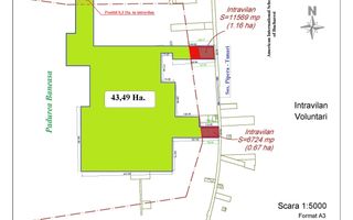 PIPERA, Padurea Baneasa, 3.250.000 mp. ideal aventura parc - Poză 3