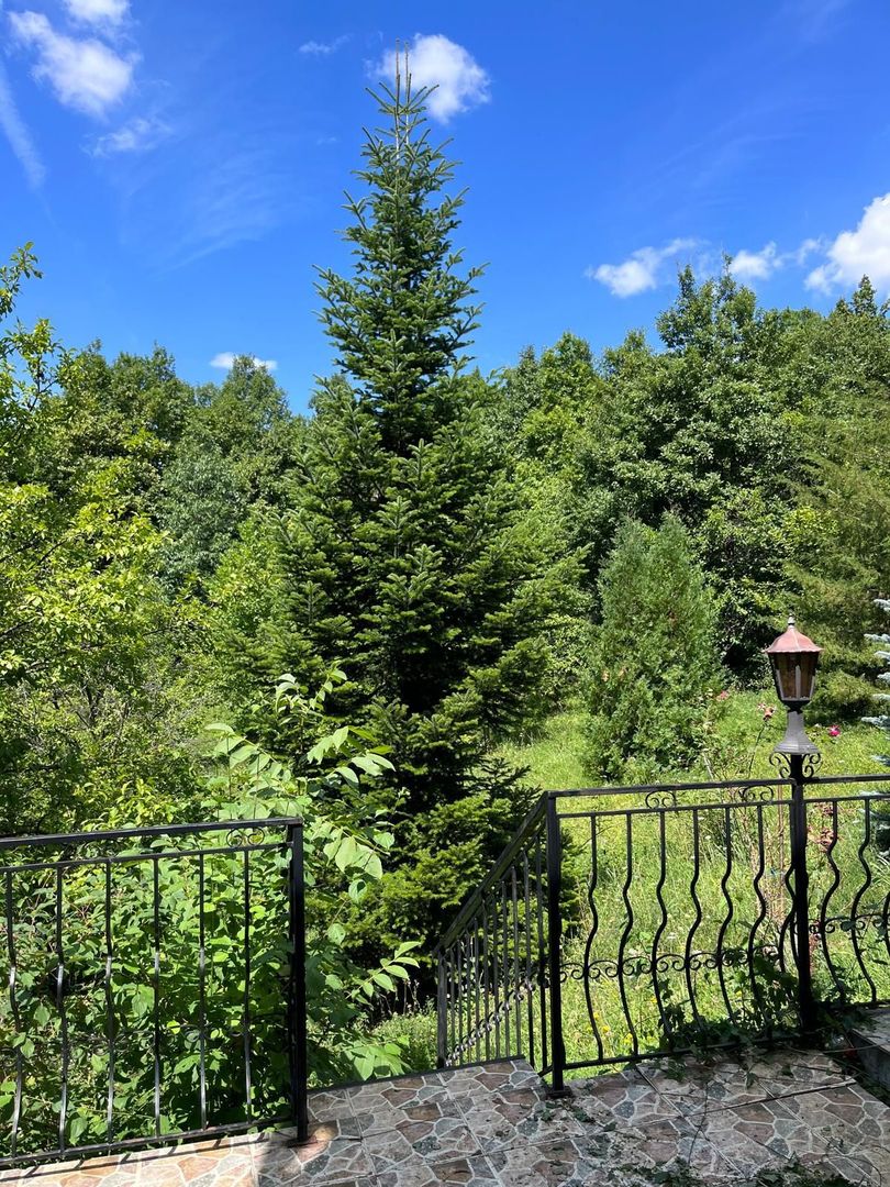 Duplex, Valenii de Munte, Drajna de Sus - Poză 13