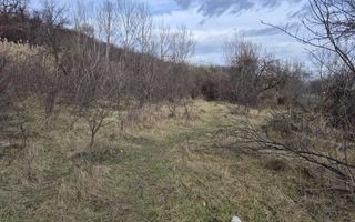 Teren de vanzare | Orlat | Extravilan - Poză 5