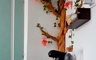 Camera regim hotelier - Valea Lupului, zona Capat Pacurari - Poză 4