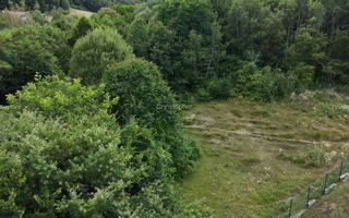 Teren intravilan 2.938 mp | Tocile, Sadu | pârâu natural - Poză 3