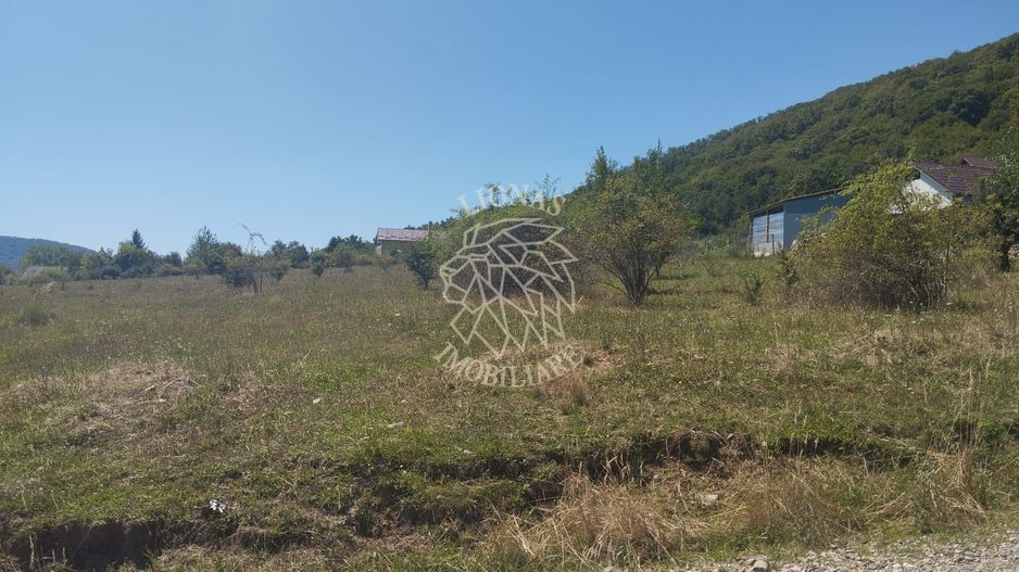 Teren intravilan 2900 mp cu utilitati-Zona MOL Viisoara - Poză 1