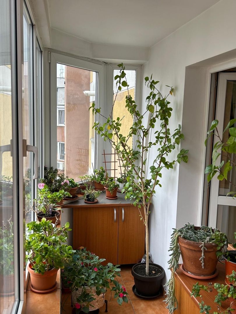 Apartament de vânzare str. Nerva Traian lângă școala 81 - Poză 6