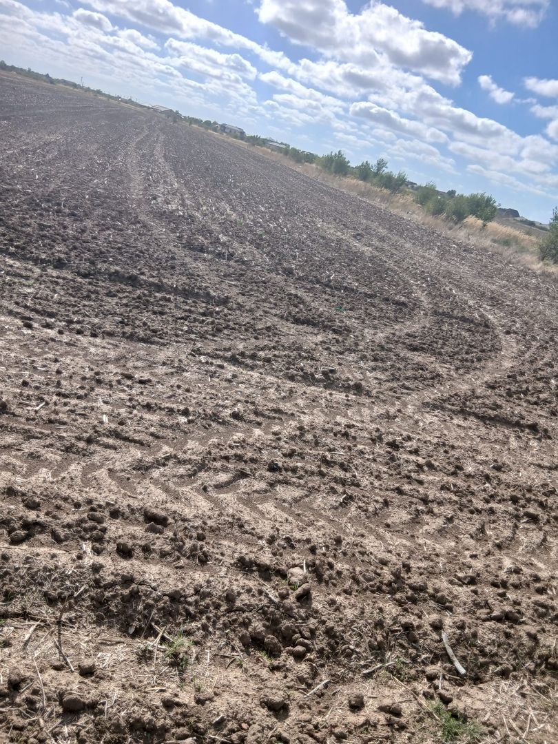 Teren de vanzare 4500mp Strada Rasaritului Darvari Ciorogarla A0 - Poză 5