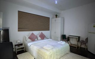 Investiție în centrul Bucureștiului | centrală proprie | Airbnb V16 - Poză 6